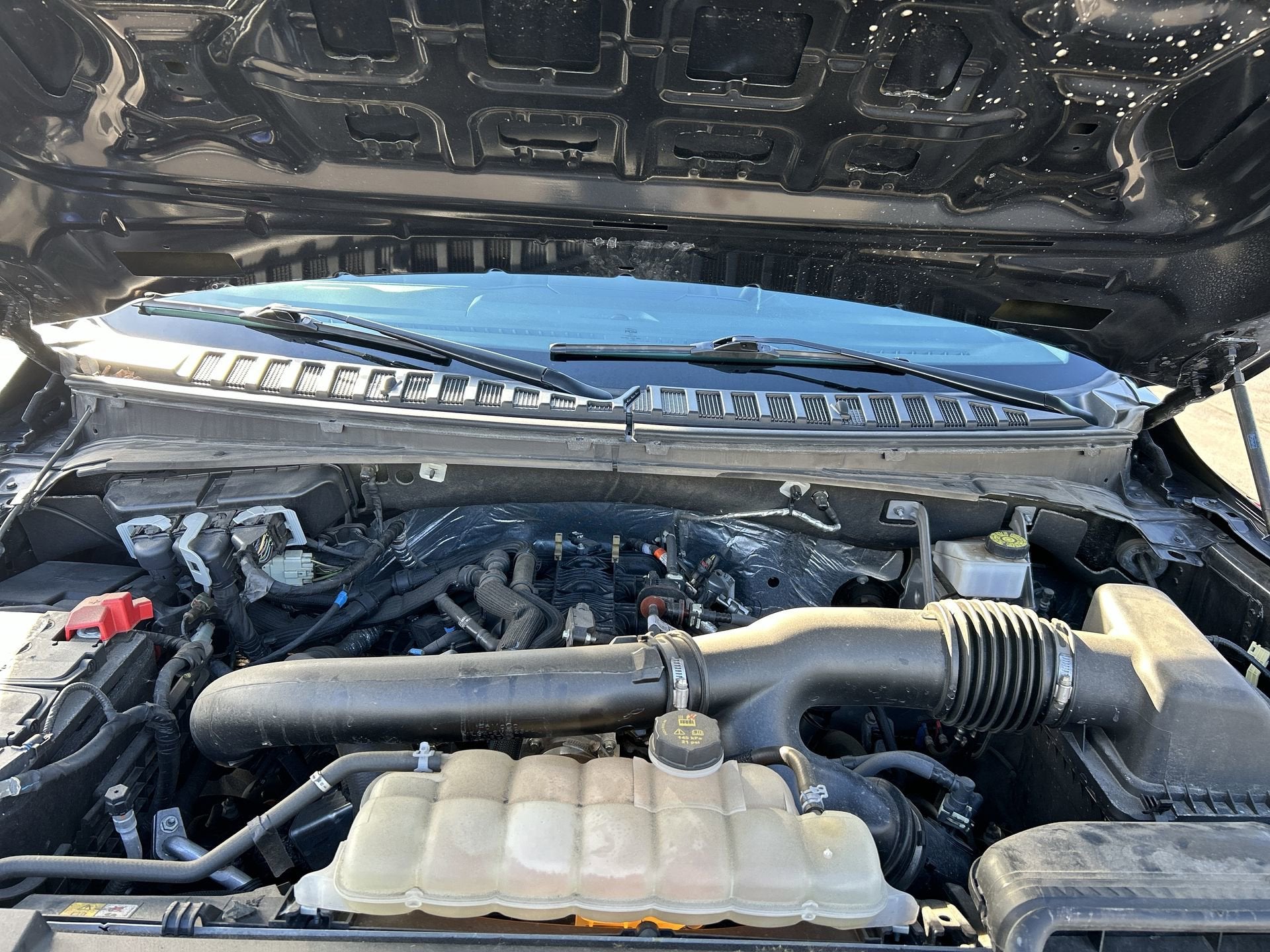 2024 Ford Expedition XLT MAX